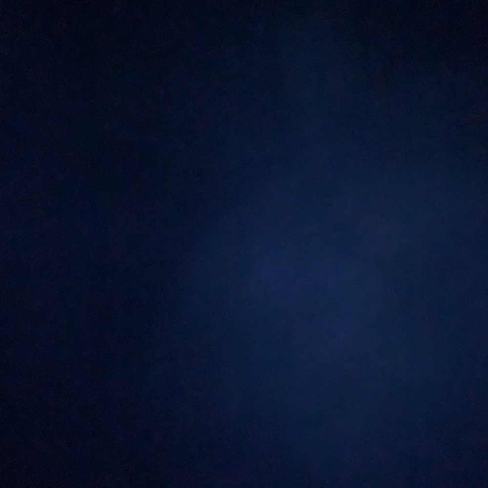 Meet your Posher, Ashleigh